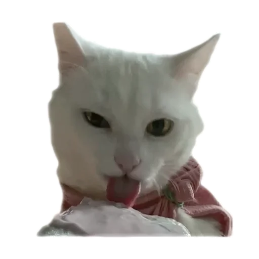 🤤 Стикер «Бети 3» для Telegram