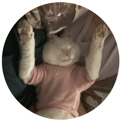 😴 Стикер «Бети 3» для Telegram