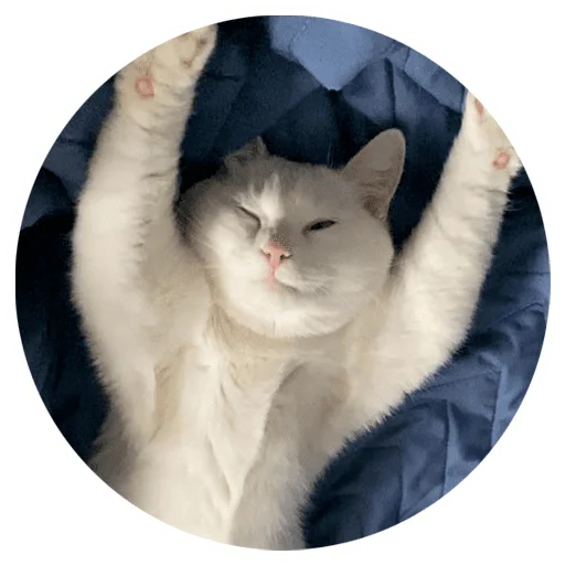 🤸 Стикер «Бети 3» для Telegram