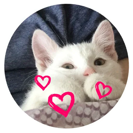 😚 Стикер «Бети 3» для Telegram