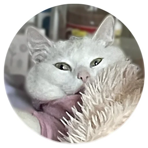 🫠 Стикер «Бети 3» для Telegram