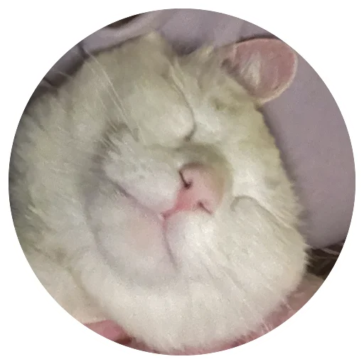 😴 Стикер «Бети 3» для Telegram