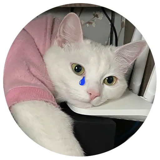 😢 Стикер «Бети 3» для Telegram