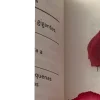 🤩 Эмодзи «Beyond Pages» для Telegram