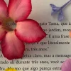🤩 Эмодзи «Beyond Pages» для Telegram
