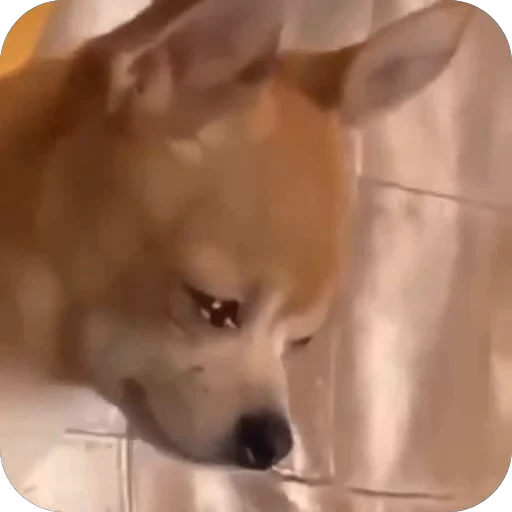 🥺 Стикер «Без слов» для Telegram