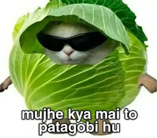 🥦 Стикер «Bhandara» для Telegram