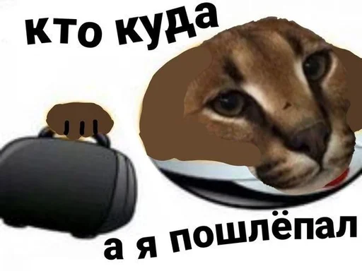 🚶‍♀ Стикер «Ебло» для Telegram