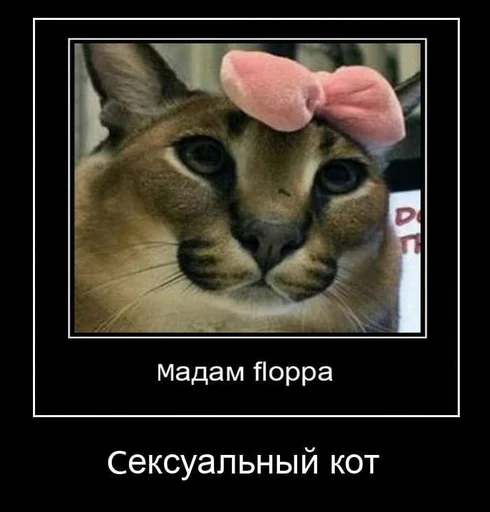 👩‍🦱 Стикер «Ебло» для Telegram