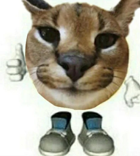 😺 Стикер «Ебло» для Telegram
