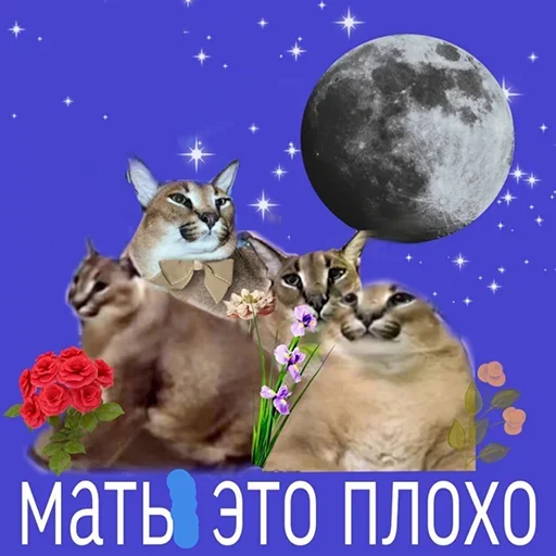 👩 Стикер «Ебло» для Telegram