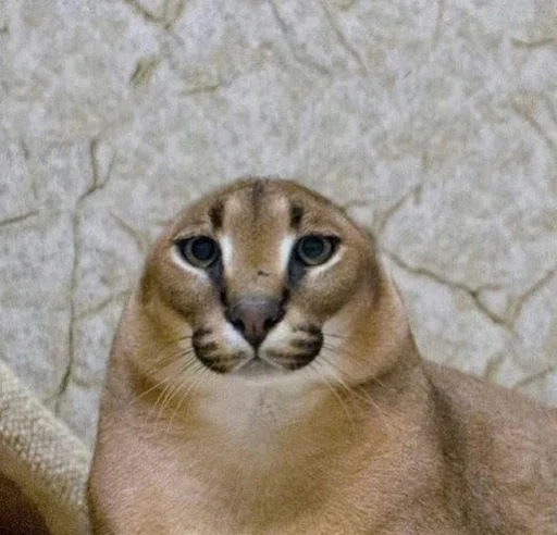 😺 Стикер «Ебло» для Telegram