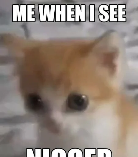 🙀 Стикер «Ебло» для Telegram