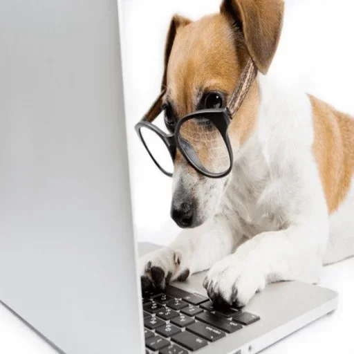 🐶 Стикер «Ебло» для Telegram