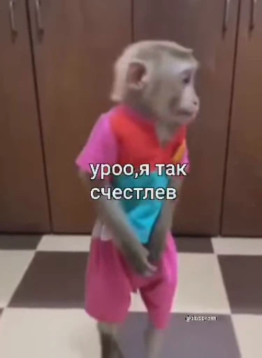 🥳 Стикер «БибиНевс» для Telegram