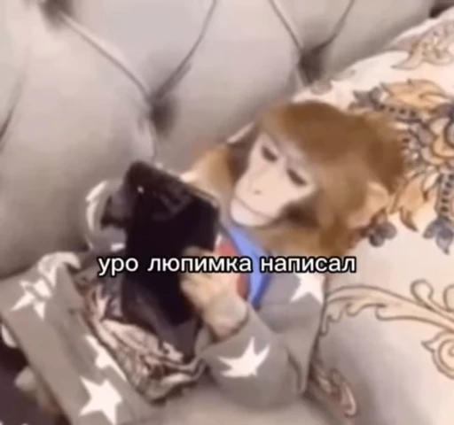 🌟 Стикер «БибиНевс» для Telegram