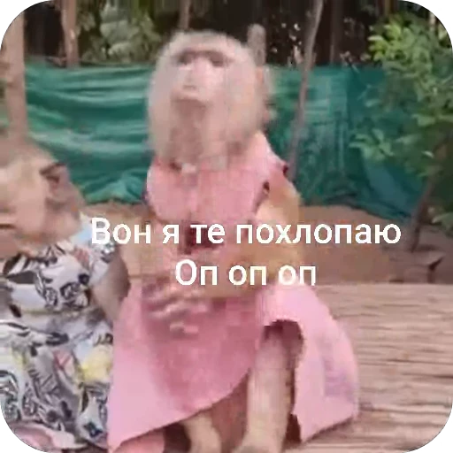 👏 Стикер «БибиНевс» для Telegram