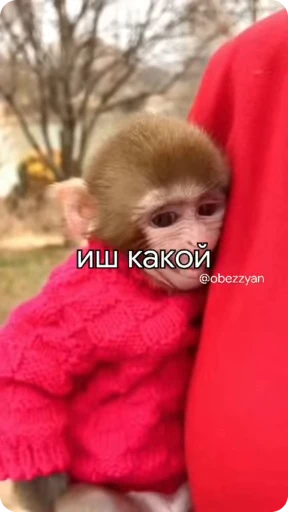 😁 Стикер «БибиНевс» для Telegram