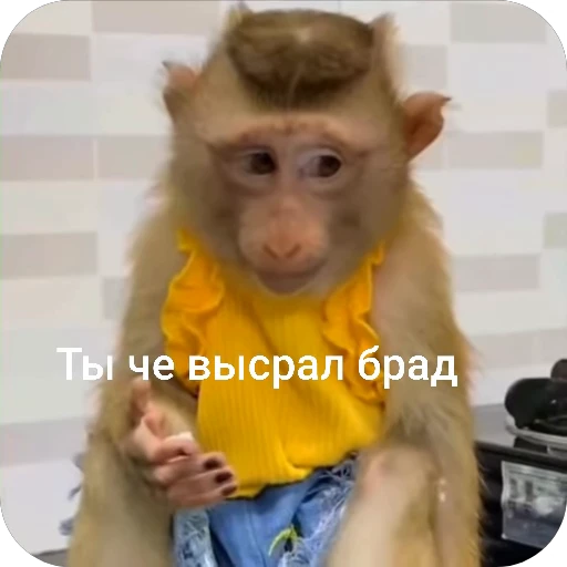 🌟 Стикер «БибиНевс» для Telegram