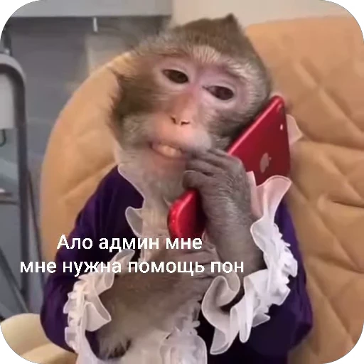 📞 Стикер «БибиНевс» для Telegram