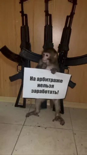 🌟 Стикер «Бибизянки» для Telegram