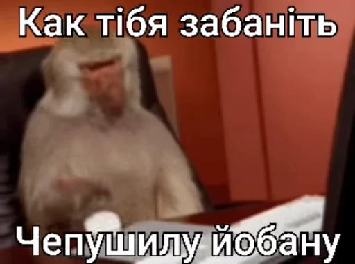 🌟 Стикер «Бибизянки» для Telegram