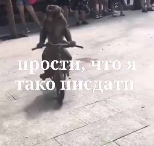 🌟 Стикер «Бибизянки» для Telegram