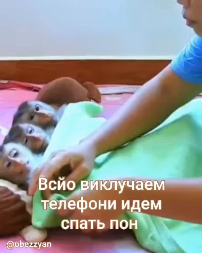 🌟 Стикер «Бибизянки» для Telegram