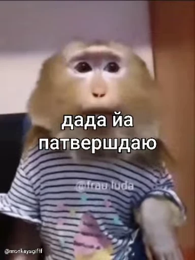 😀 Стикер «Бибизянки» для Telegram