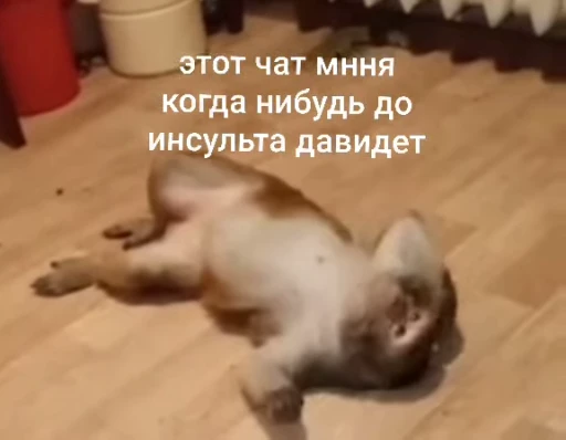 🌟 Стикер «Бибизянки» для Telegram