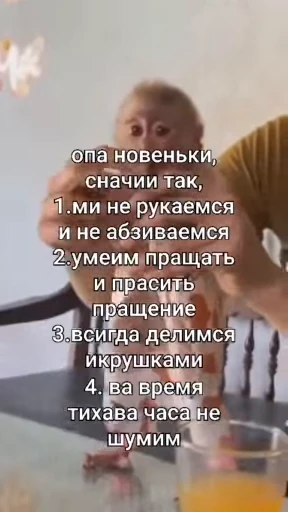 🌟 Стикер «Бибизянки» для Telegram