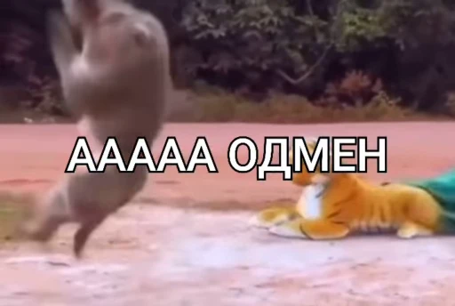 🙈 Стикер «Бибизянки» для Telegram