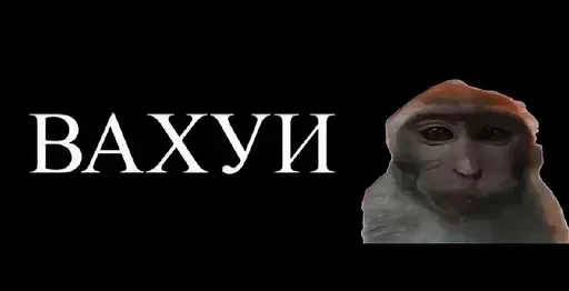 🌟 Стикер «bibizi» для Telegram