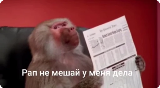 Стикерпак bibizi для Telegram — скачать