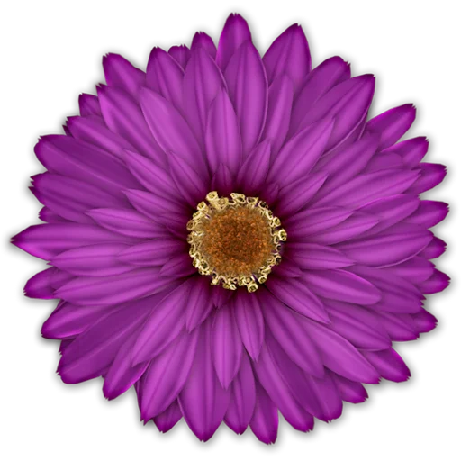 🌸 Стикер «Big Flowers» для Telegram