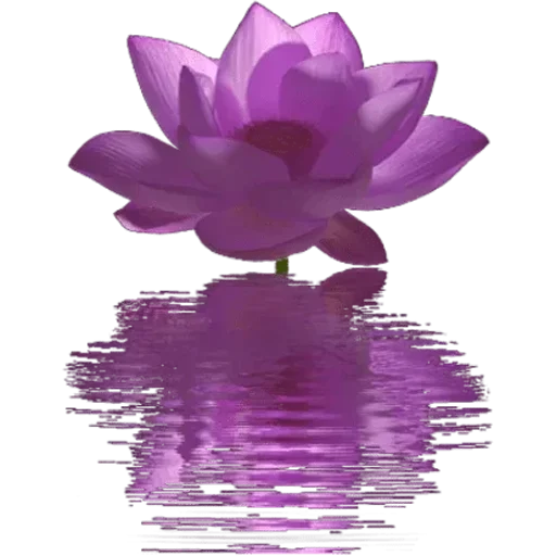 🪷 Стикер «Big Flowers» для Telegram