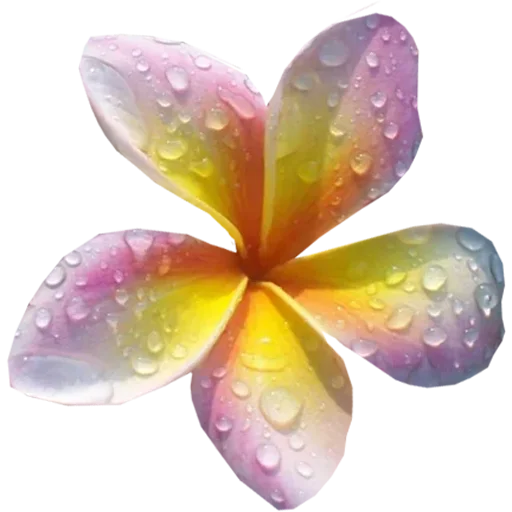 🌸 Стикер «Big Flowers» для Telegram