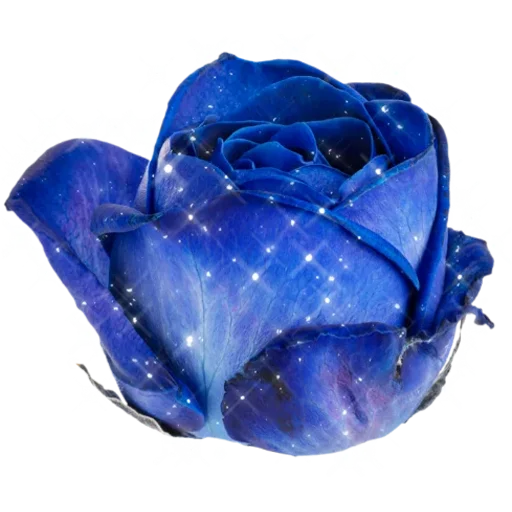 🌹 Стикер «Big Flowers» для Telegram