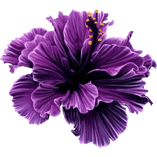 🌸 Стикер «Big Flowers» для Telegram