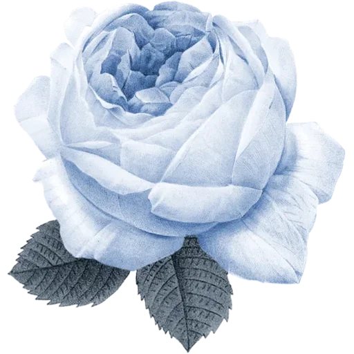 🌹 Стикер «Big Flowers» для Telegram