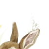 🐇 Эмодзи «Разделители» для Telegram