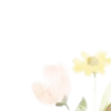 🐇 Эмодзи «Разделители» для Telegram