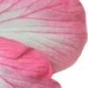 🌸 Эмодзи «Разделители» для Telegram