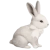 🐰 Эмодзи «Разделители» для Telegram
