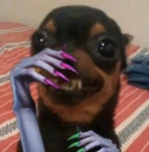 🐕 Стикер «And I OOP» для Telegram