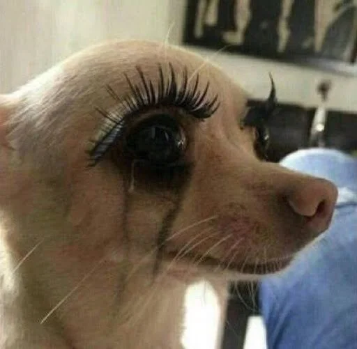 😢 Стикер «And I OOP» для Telegram