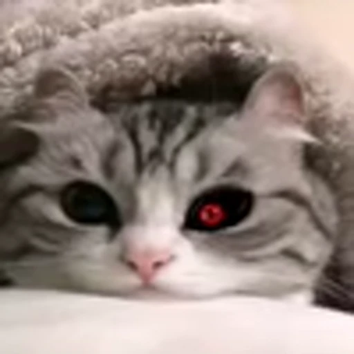 🥺 Эмодзи «big eyes» для Telegram