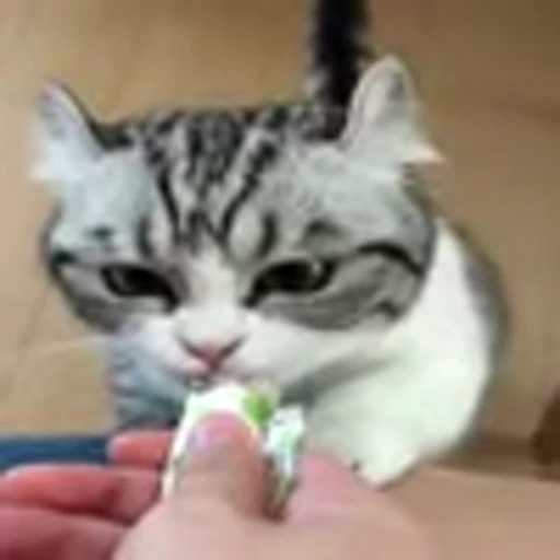 👅 Эмодзи «big eyes» для Telegram