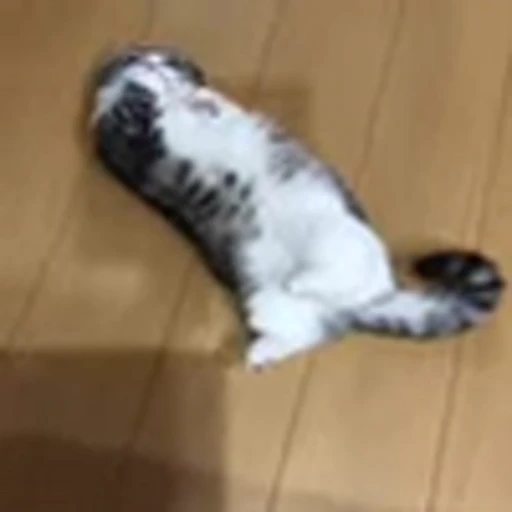 🐈 Эмодзи «big eyes» для Telegram