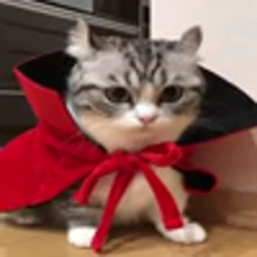🧛‍♀️ Эмодзи «big eyes» для Telegram